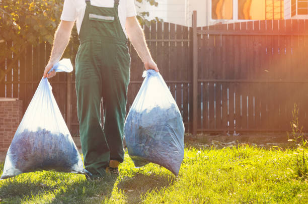 Best Carpet Removal and Disposal  in Roosevelt, NJ